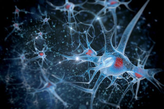 Biocomputere cu neuroni umani: cum funcționează noua tehnologie experimentală