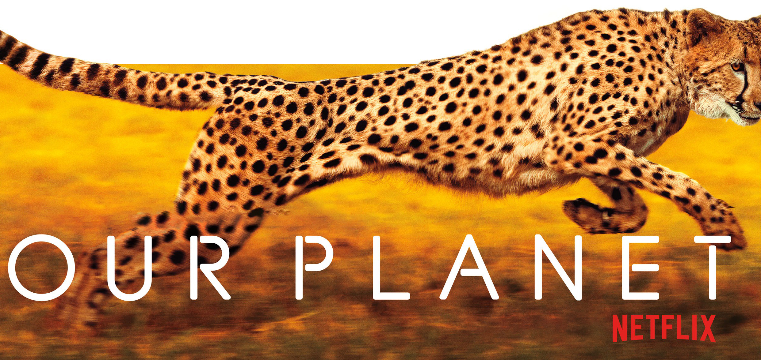 Documentare Netflix Gratis Pe Youtube Lista CompletÄ A Titlurilor Go4it