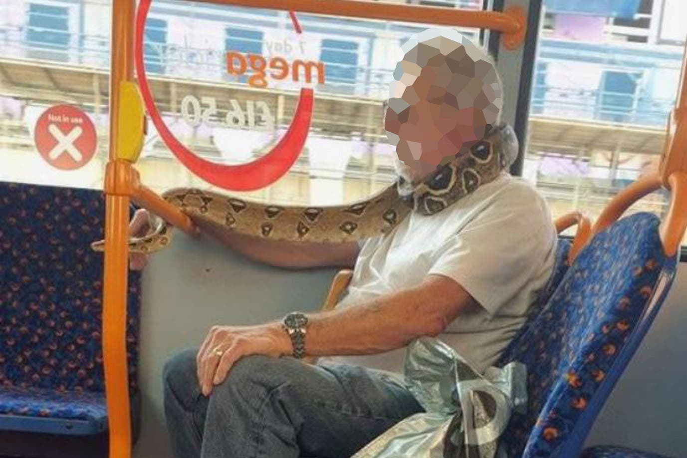 Bărbat, fotografiat într-un autobuz cu un șarpe viu pe post de mască