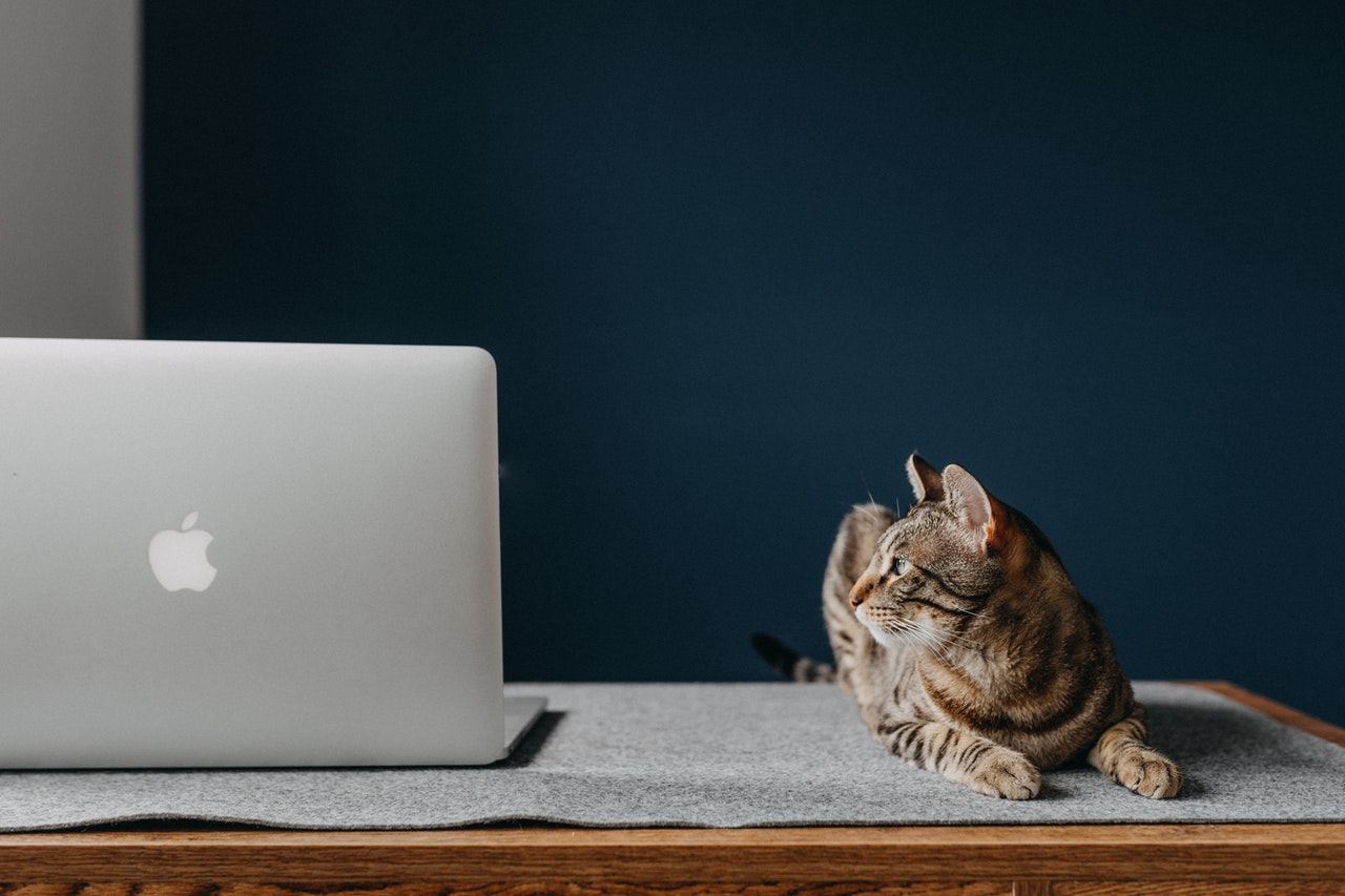 Cel mai bun MacBook de cumpărat în 2021