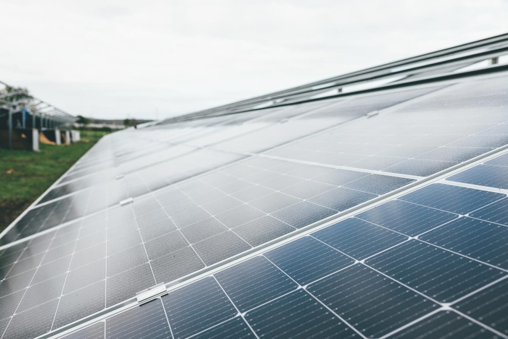 Energia solară devine principala sursă de electricitate din UE. Trei țări conduc clasamentul european