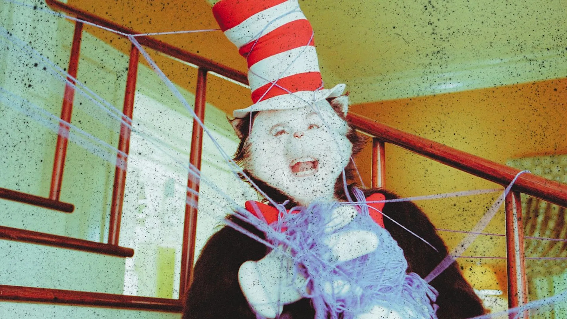 Ce este trendul „Cat in the Hat”: o glumă virală răspândește panică pe rețelele de socializare