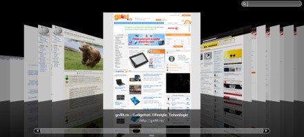 Safari 4 