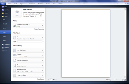 Microsoft Office 2010