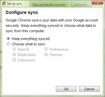 Google Chrome 6