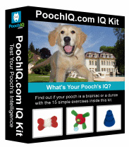 IQ Test