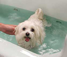 Jacuzzi
