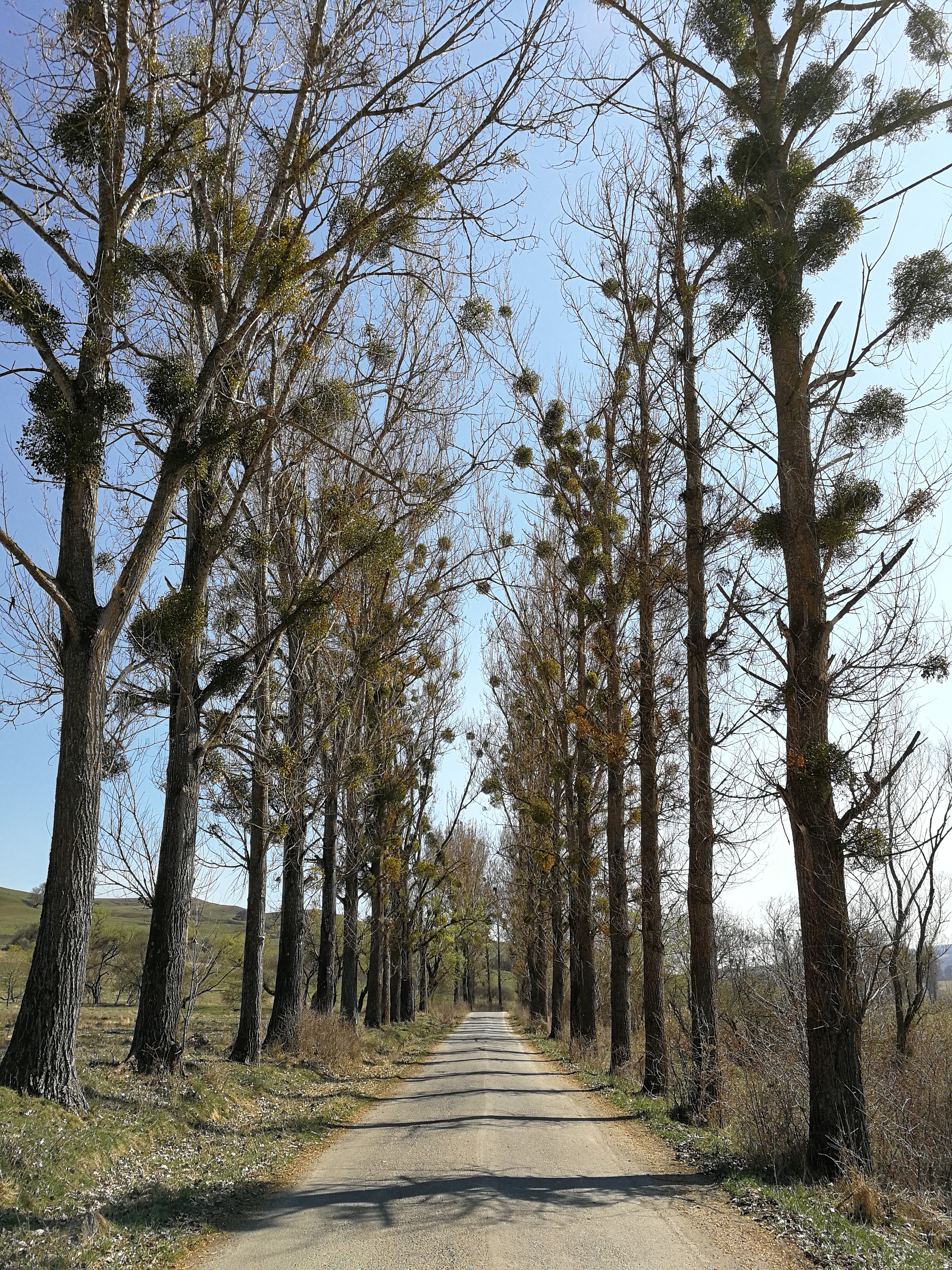 Fotografia de călătorie cu Huawei P10