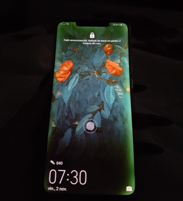 Huawei Mate 20 Pro - probleme display