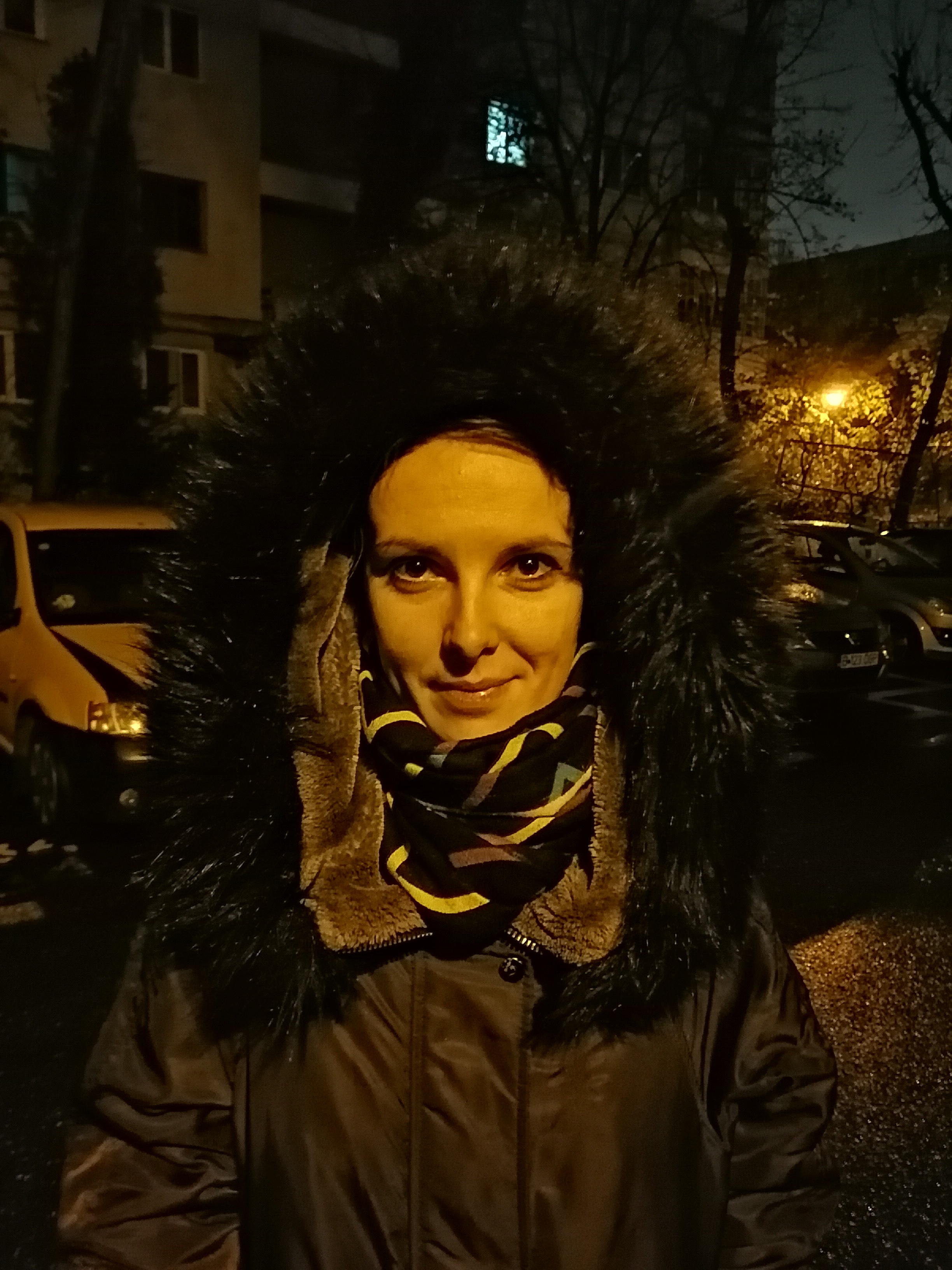 Honor 8X - Fotografii pe timp de noapte