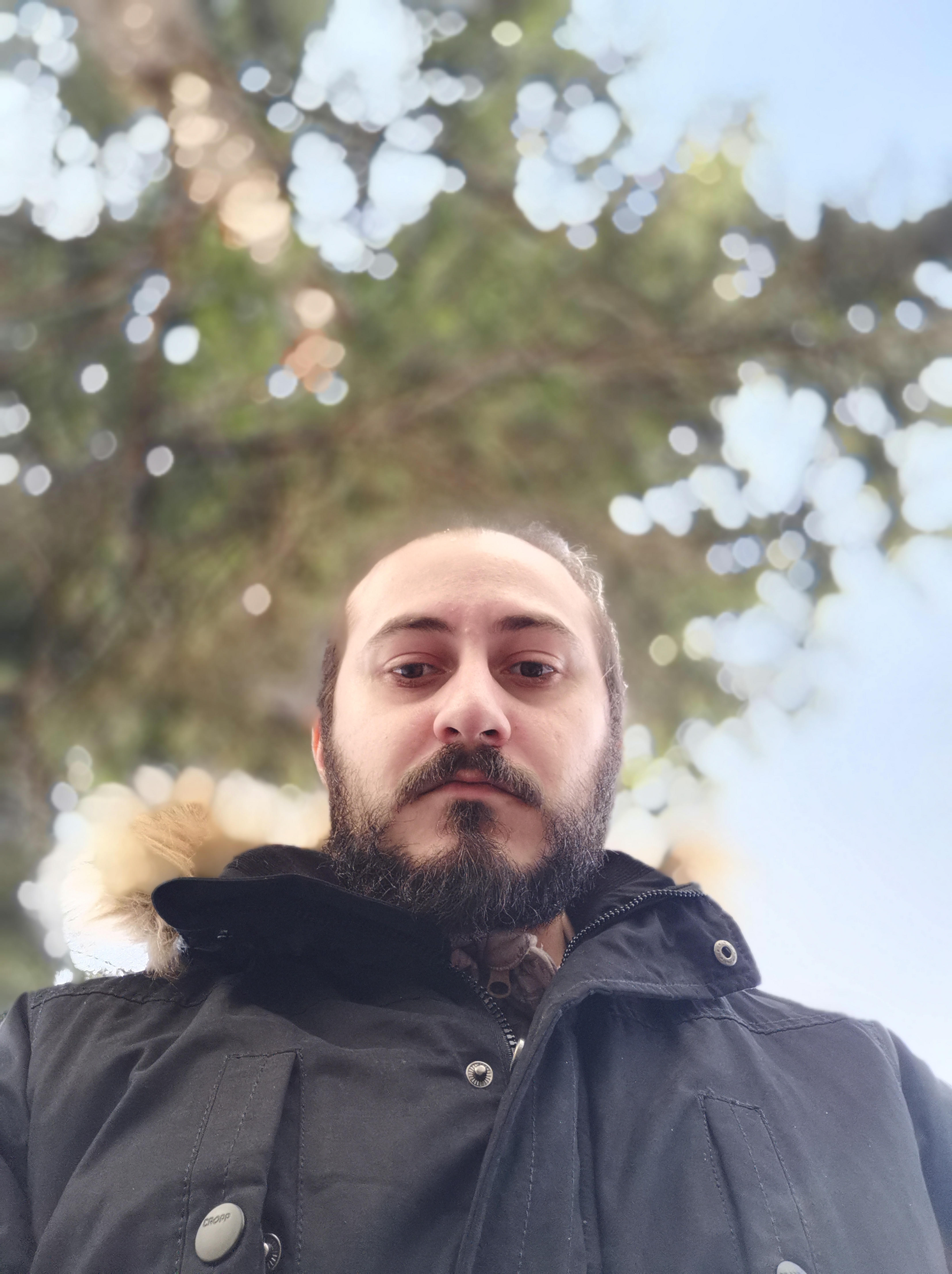 Honor View 20 - Portret