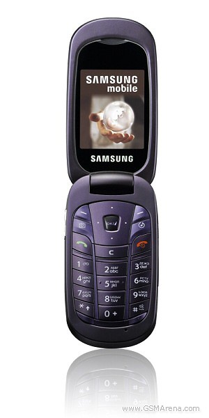 Samsung L320