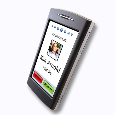 Garmin Nuvifone