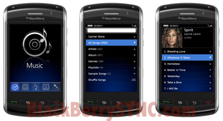 BlackBerry Thunder 9500 BlackBerry Thunder 9500