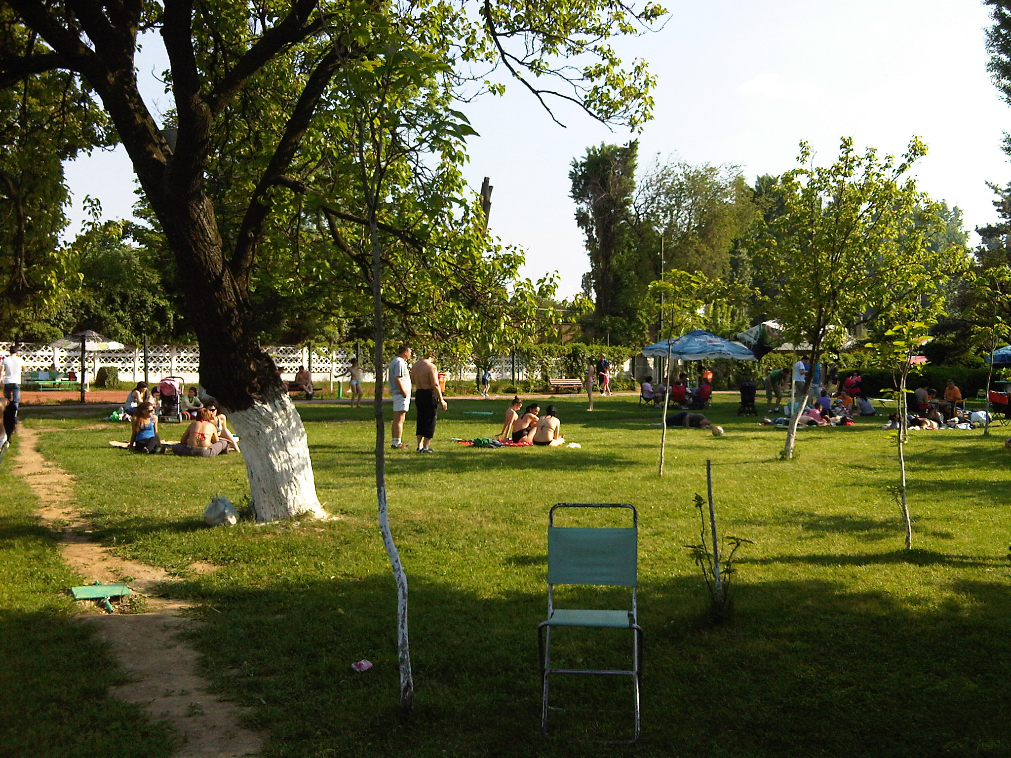 Sample Photo