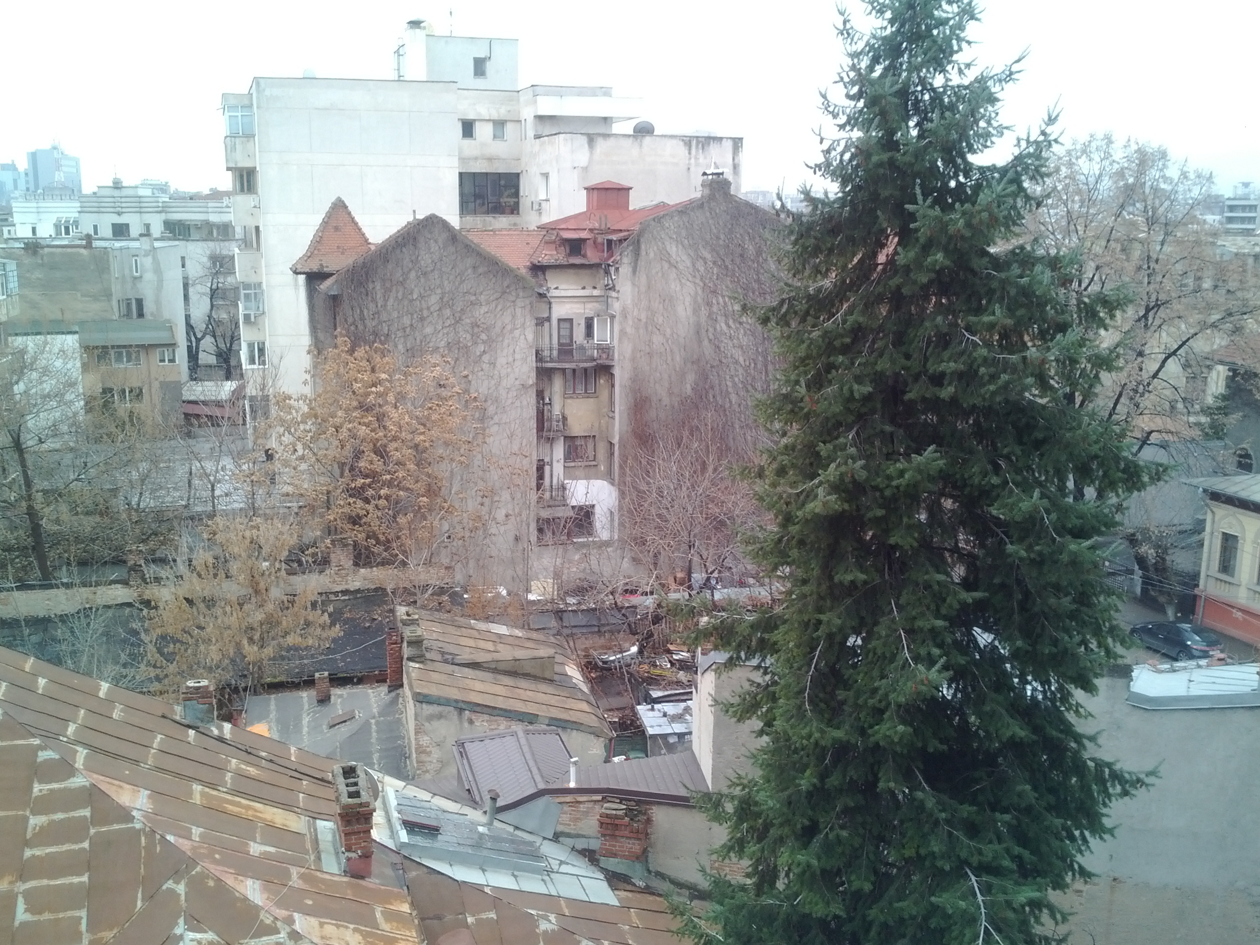 Samsung Galaxy Nexus Picture Sample