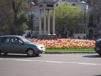 Auto, ISO 100