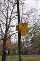 ISO 200, 1/320 s, f/9.0