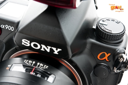 Sony Alpha A900 ar impresiona orice fotograf amator