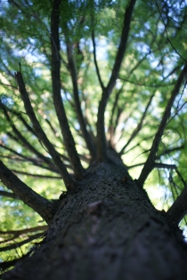 AP, ISO 400, f/1.4, 1/250
