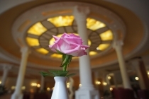 16 mm, ISO 400, F2.8, 1/125 s