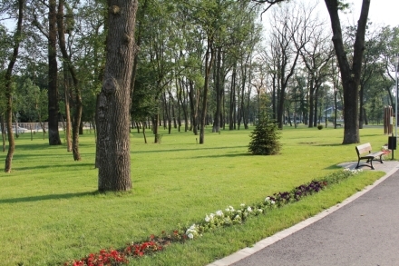 Număr F mare - aproape toate obiectele se văd clar