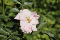 ISO 100, F11, 1/320 s