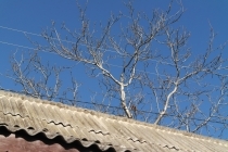 ISO 200, F9.0, 1/320 s