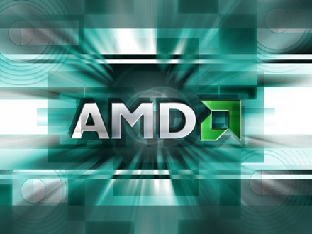 AMD Puma