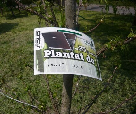 Copacul plantat de go4it