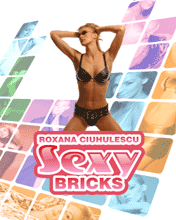 Roxana Ciuhulescu Sexy Bricks