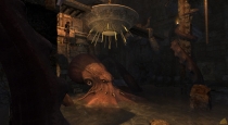 Tomb Raider: Underworld