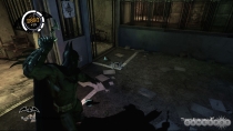 Cu Batman, în Arkham Asylum