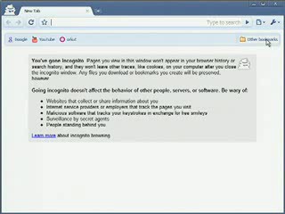 Google Chrome Google Chrome