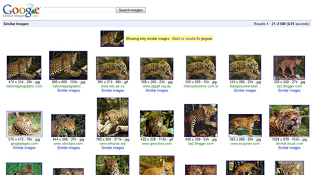 Google Similar Images