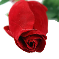 Realistic Rose Digital Voice Recorder