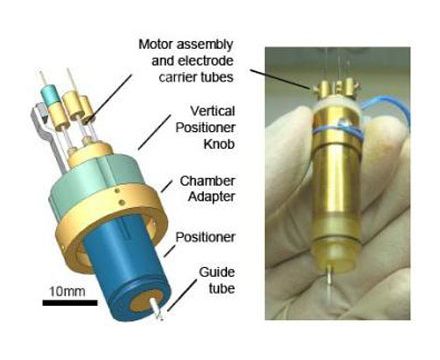 Sonda pentru creier - cu ce îţi vom gâdila neuronii