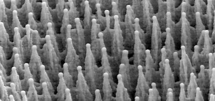 Siliconul negru - detaliu nanometric