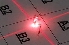 Tantarii vor fi anihilati cu laser