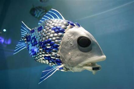 Robo Fish Robo Fish