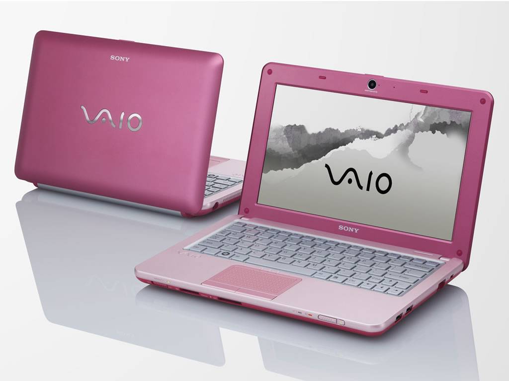 Sony Vaio W